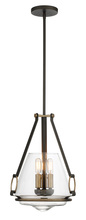  3903-107 - Eden Valley - 3 Light Convertible Pendant