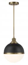  6605-885 - Vorey - 1 Light Pendant