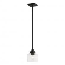  49761-04 - 1 Light Black Mini Pendant