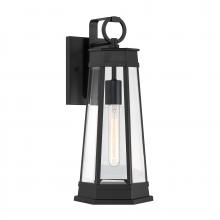  5-205-BK - Payne 1-Light Outdoor Wall Lantern in Matte Black