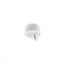  FM-W45205-30-WT - Peek Outdoor Flush Mount Light