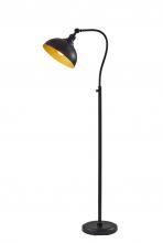  3755-01 - Wallace Floor Lamp