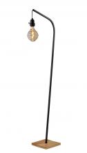  3847-01 - Wren Floor Lamp