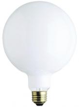  0310700 - 60W G40 Incandescent White E26 (Medium) Base, 120 Volt, Box