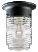  6691900 - 5 in. 1 Light Flush Matte Black Finish Clear Glass