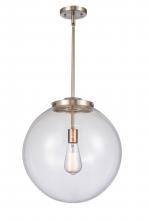  221-1S-SN-G202-16-LED - Beacon - 1 Light - 16 inch - Brushed Satin Nickel - Cord hung - Pendant