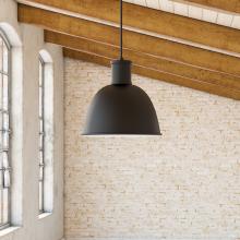  493513-BK - Irving 13-in Black 1 Light Pendant