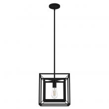  19406 - Hunter Doherty Natural Black Iron 1 Light Pendant Ceiling Light Fixture