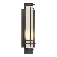  307858-SKT-20-GG0185 - After Hours Small Outdoor Sconce