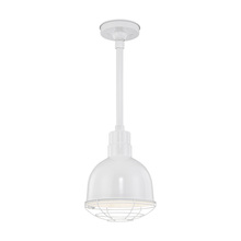  RDBS10-WH - R Series 1-Light Stem Hung Deep Bowl Shade White