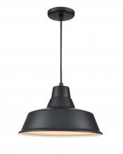  RCLWC14-SB - R Series 1-Light Cord Hung Classic Warehouse Satin Black