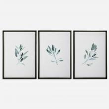  33723 - Uttermost Simple Sage Watercolor Prints, S/3