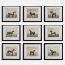  32343 - Uttermost Equine Dynasty Framed Prints, S/9