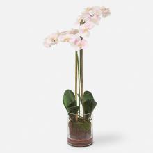  60196 - Uttermost Blush Pink And White Orchid