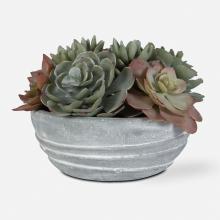  60212 - Uttermost Peoria Succulent Accent