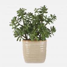  60226 - Uttermost Crassula Jade Accent Plant