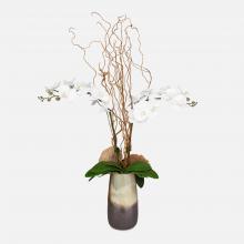  60231 - Uttermost Earthbound Orchid With Vase