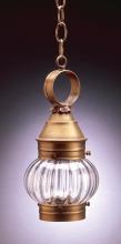  2012-AC-MED-CSG - Onion Hanging No Cage Antique Copper Medium Base Socket Clear Seedy Glass